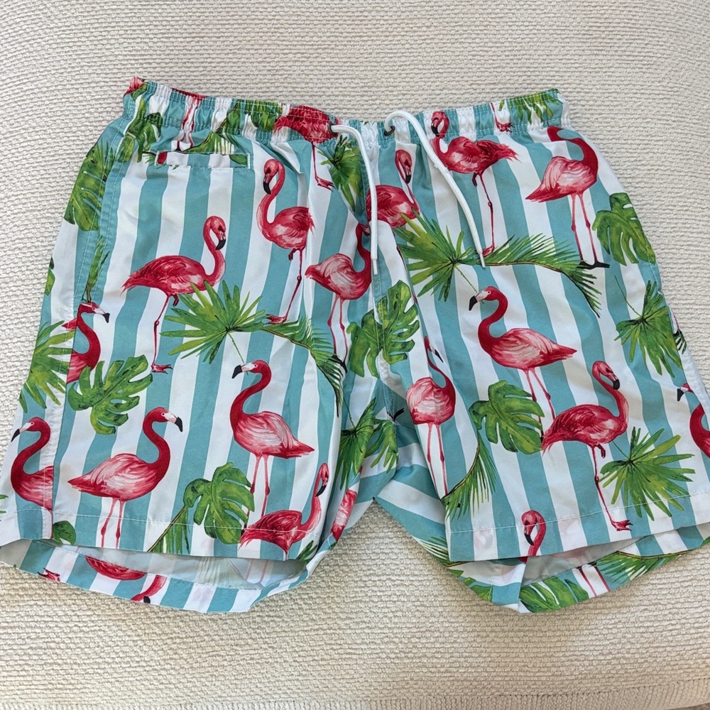 Tropical Flamingo Print Swim Trunks